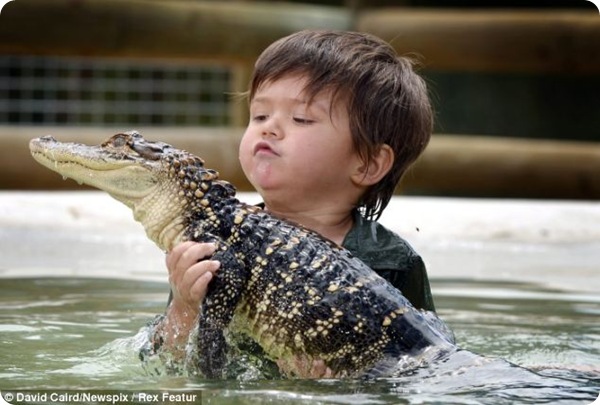 Малыш Чарли и его ручной аллигатор Гамп