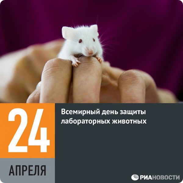 24 апреля православный праздник. Всемирный день защиты лабораторных животных