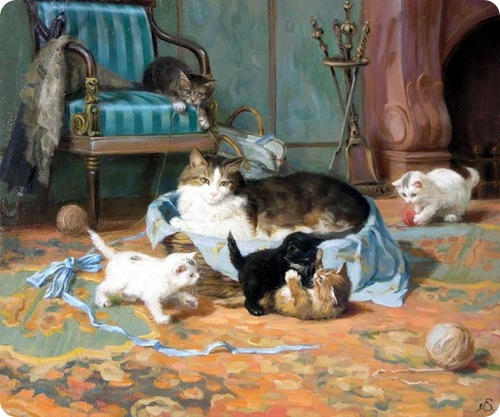 Кошки Сергея Новосаджука