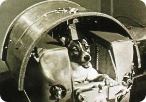 Собаки-космонавты