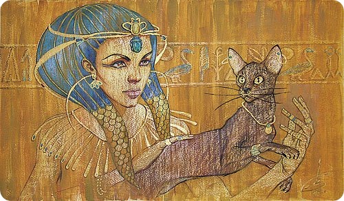 Фаттах Галла: Женщина и кошка