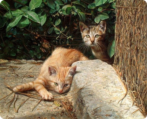 Кошки Антонио Капел (Antonio Capel)