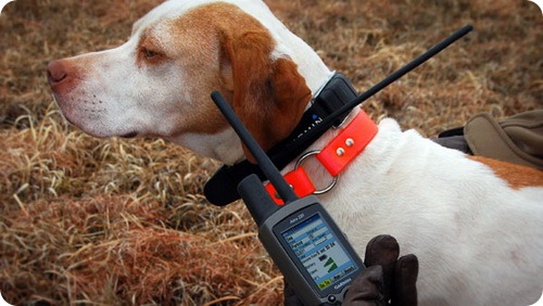 Garmin Astro - Система слежения за собакой