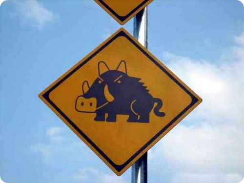 Животные на знаках