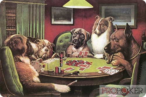 Собачий покер фейс