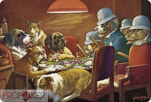 Собачий покер фейс