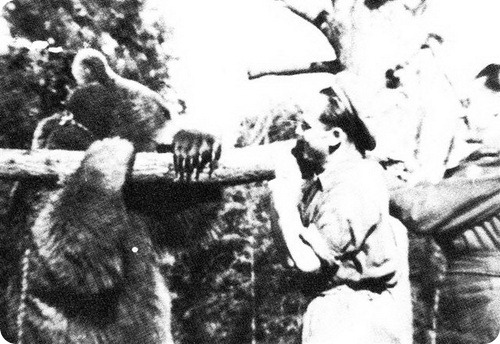 Войтек – медведь и солдат