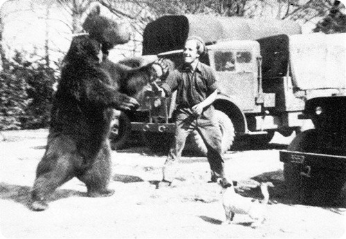 Войтек – медведь и солдат