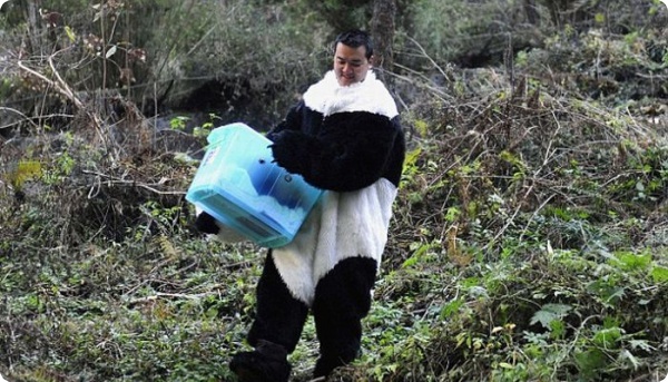 Зачем ученым костюм панды?