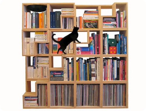 Кошачья библиотека