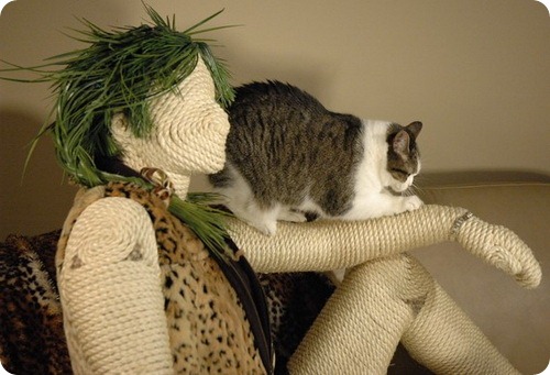 Табби - Моднейшая когтедралка для вашей кошки