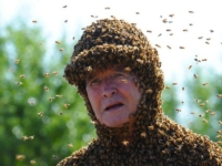 Норман Гэри и его дрессированные пчёлы