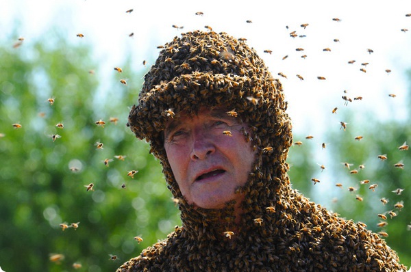 Норман Гэри и его дрессированные пчёлы