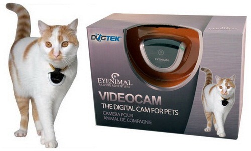 Eyenimal: Цифровая видеокамера для животных