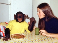 Проект Ним — из шимпанзе в человека…