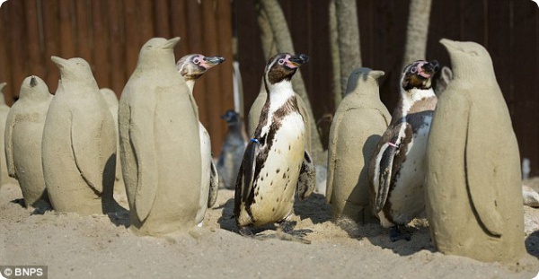 Одураченные пингвины
