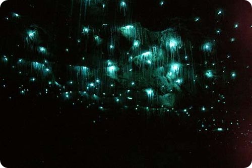 Звездное небо в пещере
