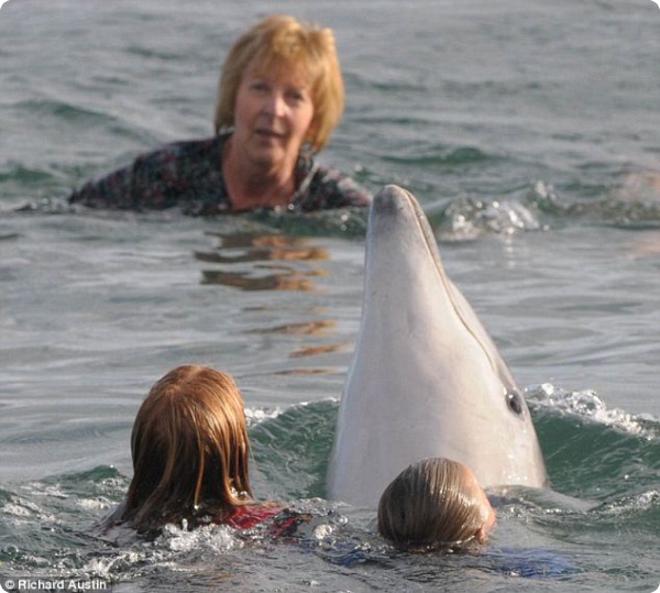 Дельфин Джордж побывал у берегов Англии