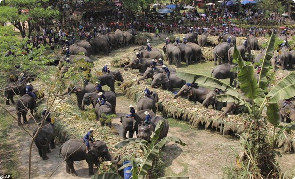Национальный день слона в Тайнланде