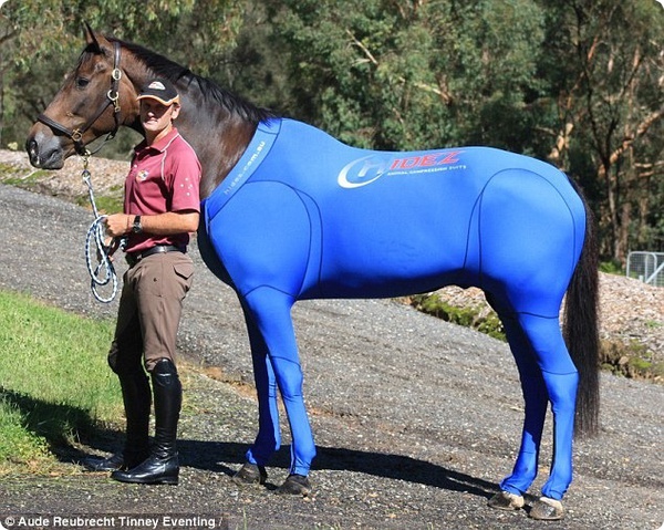 Специальные облегающие костюмы для олимпийских лошадей