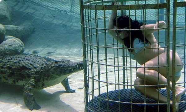 Поплавать с крокодилом