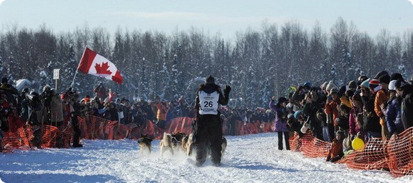 Iditarod 2012