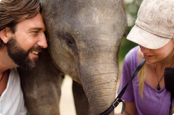 История спасения маленького слонёнка по имени Бона