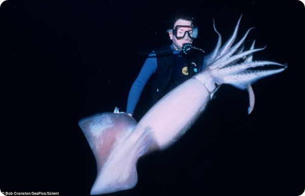 Подводный мир Боба Крэнстона