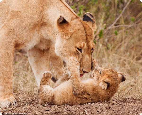 «Не щекочи меня, мама!»