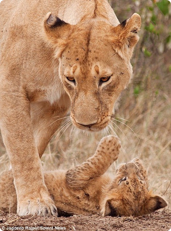 «Не щекочи меня, мама!»