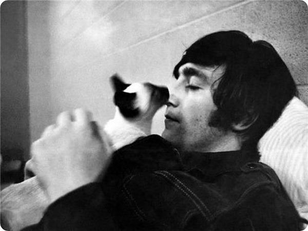 Джон Леннон: кошки в его жизни