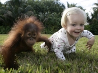 Дружба Эмили Бланд и орангутанга Риши
