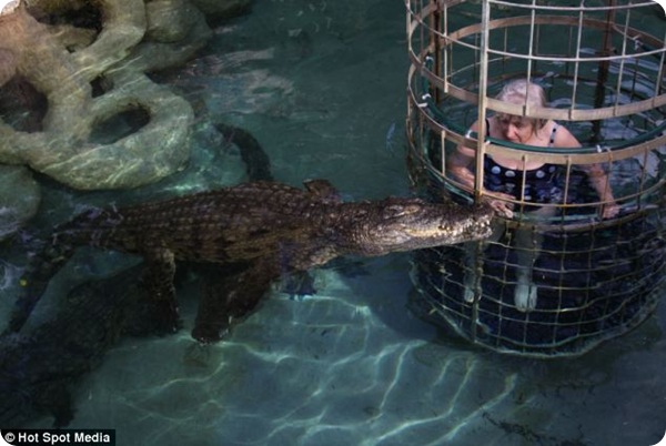 В бассейне с крокодилами