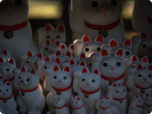 Манэки-нэко – японский Кот счастья